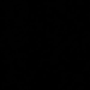 Meet your Posher, Lexi